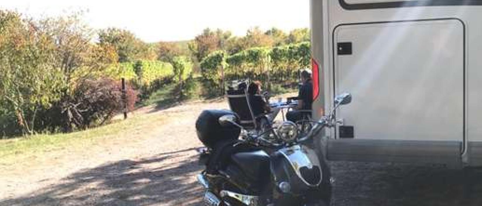 Hoofdfoto Weingut Kost