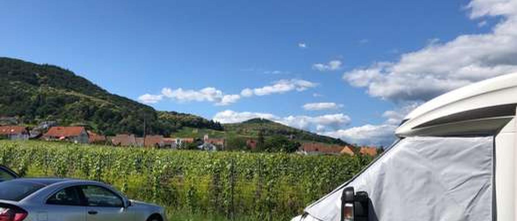 Hoofdfoto Weingut Herrenhof