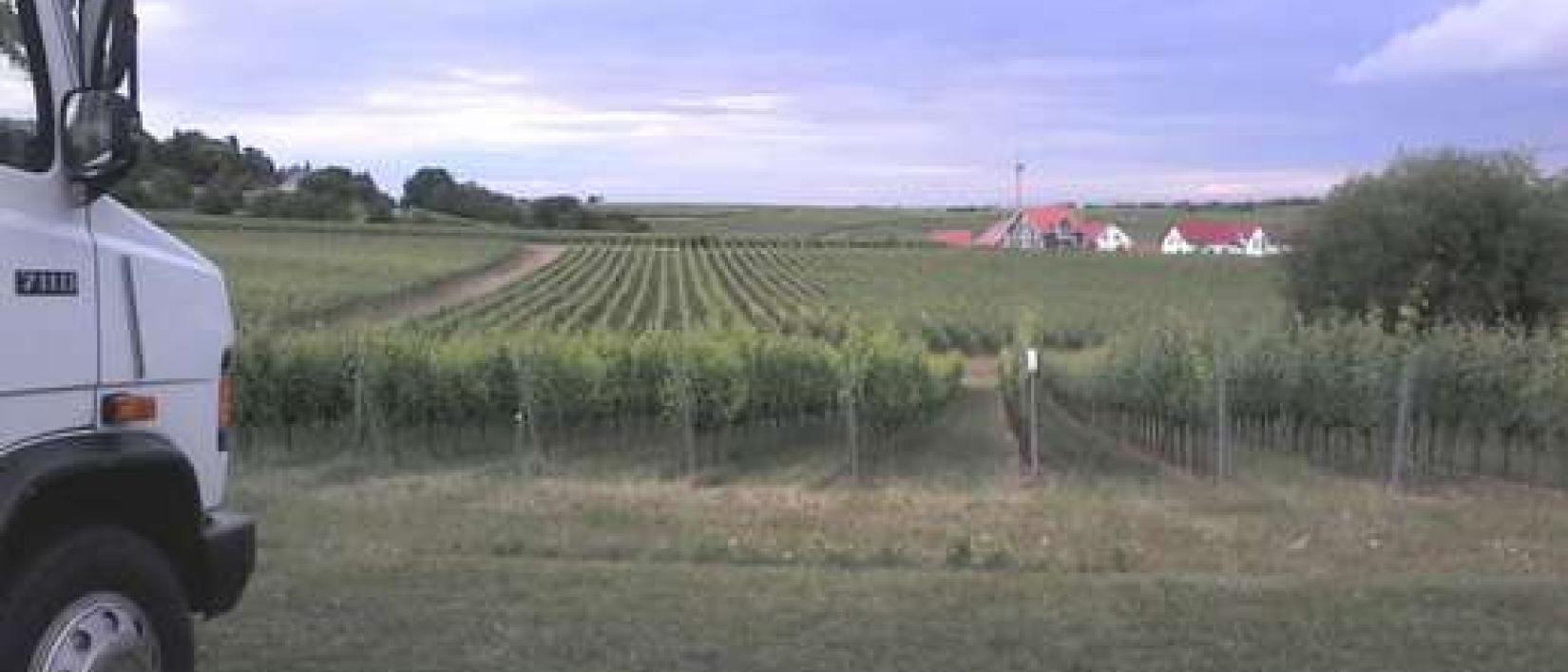 Hoofdfoto Weingut Hitziger