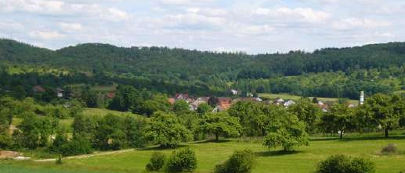 Hoofdfoto Wanderparkplatz Heiligenthal