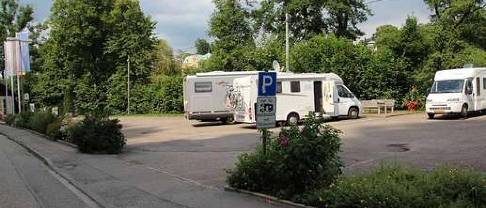 Hoofdfoto Murginsel