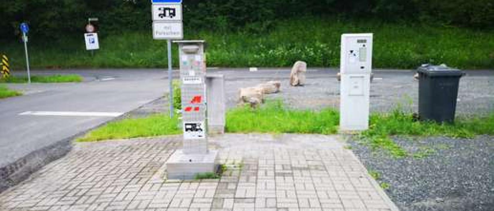 Hoofdfoto Stellplatz Ancenis-Straße