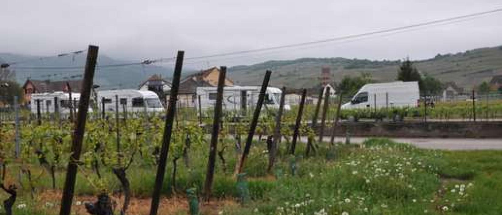 Hoofdfoto Domaine Fritz