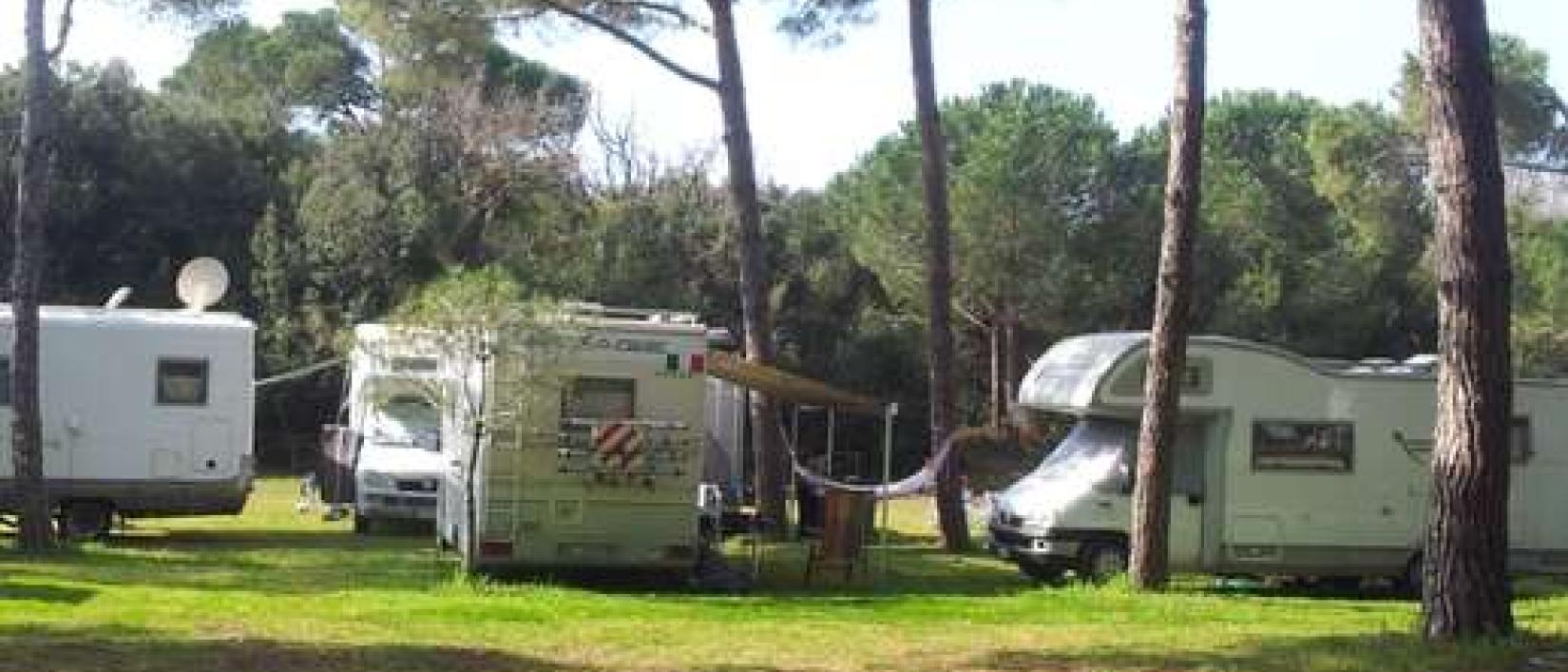 Hoofdfoto Area La Pineta