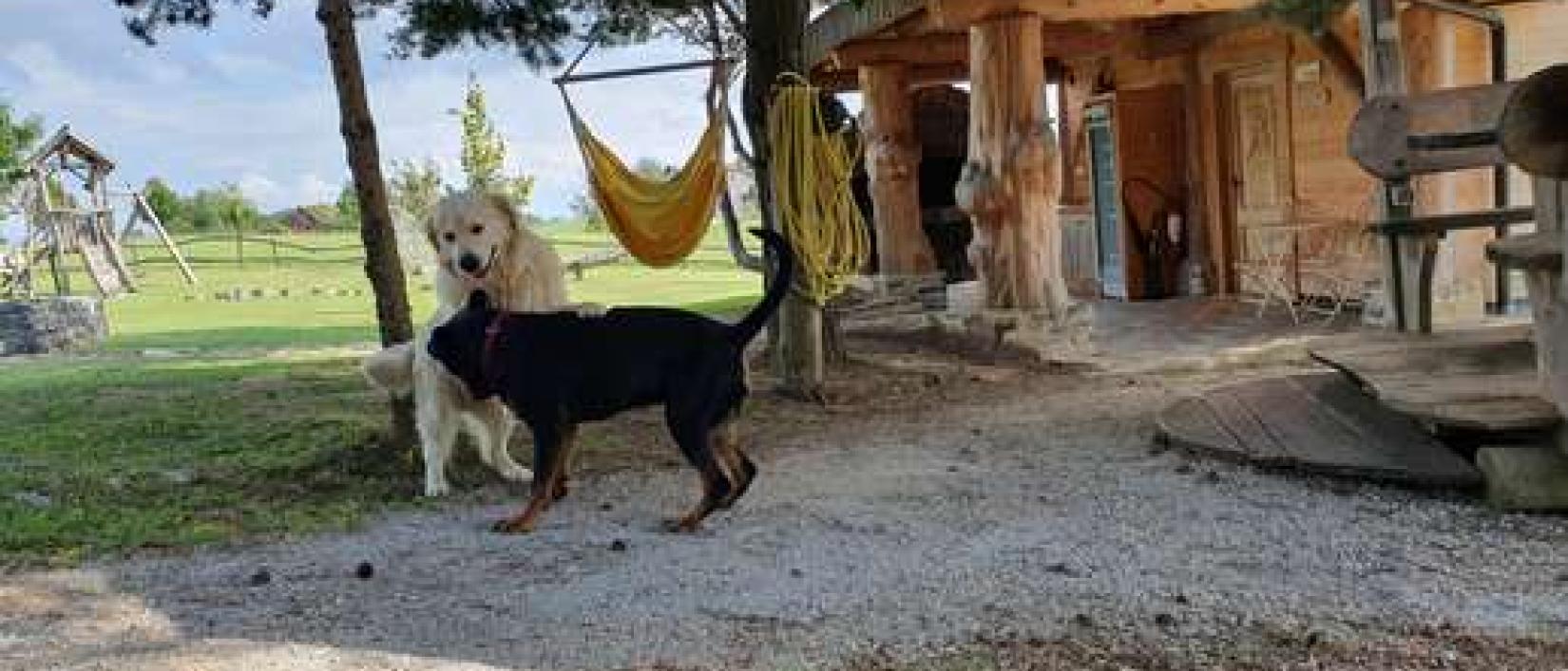 Hoofdfoto Camping in Tourist village Pristava