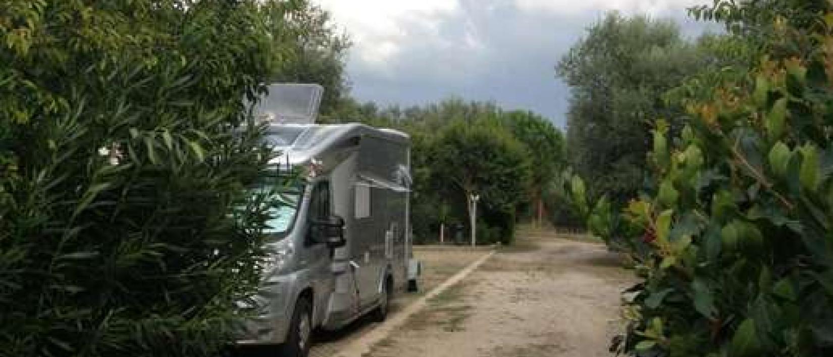 Hoofdfoto Fattoria Parco degli Ulivi