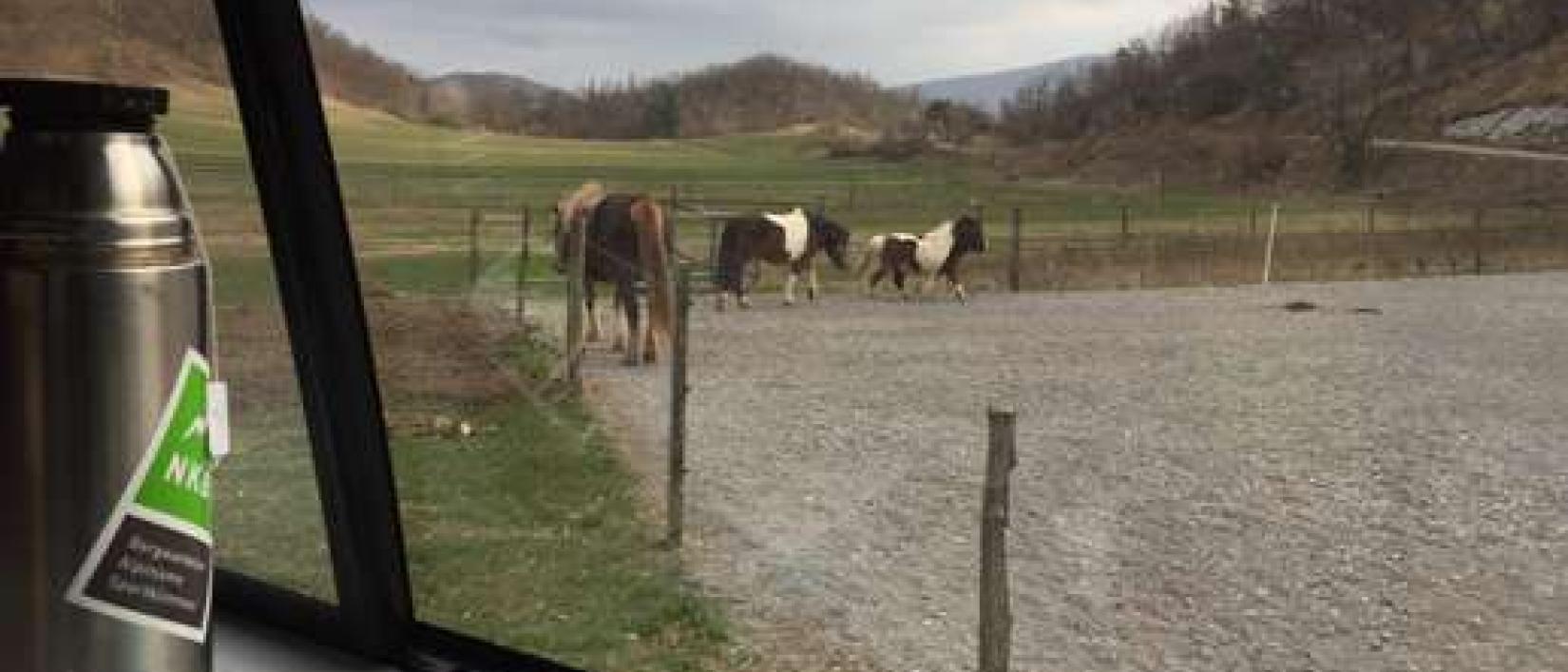 Hoofdfoto Idila pod Nanosom