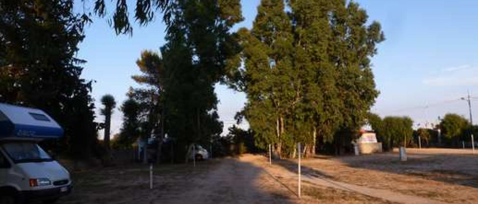 Hoofdfoto Eucalyptus Park