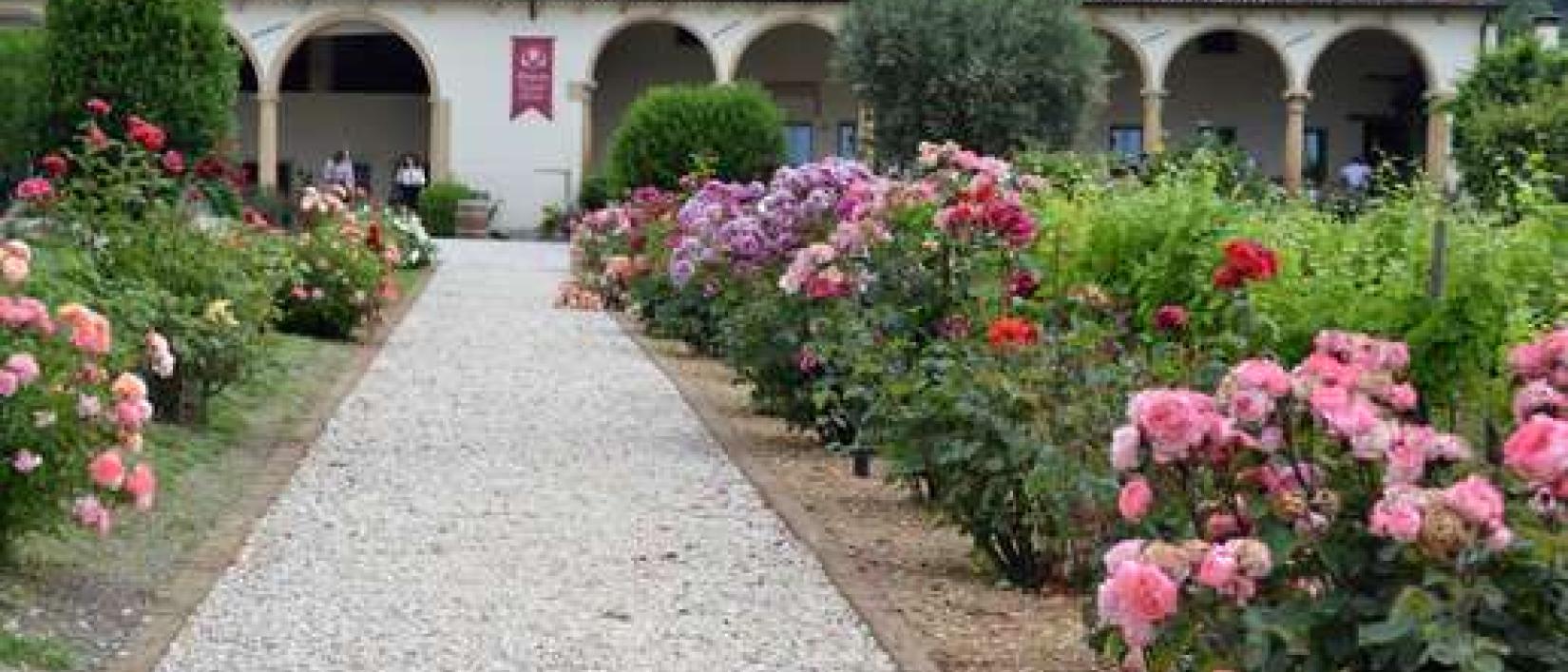 Hoofdfoto Azienda agricola Pegoraro
