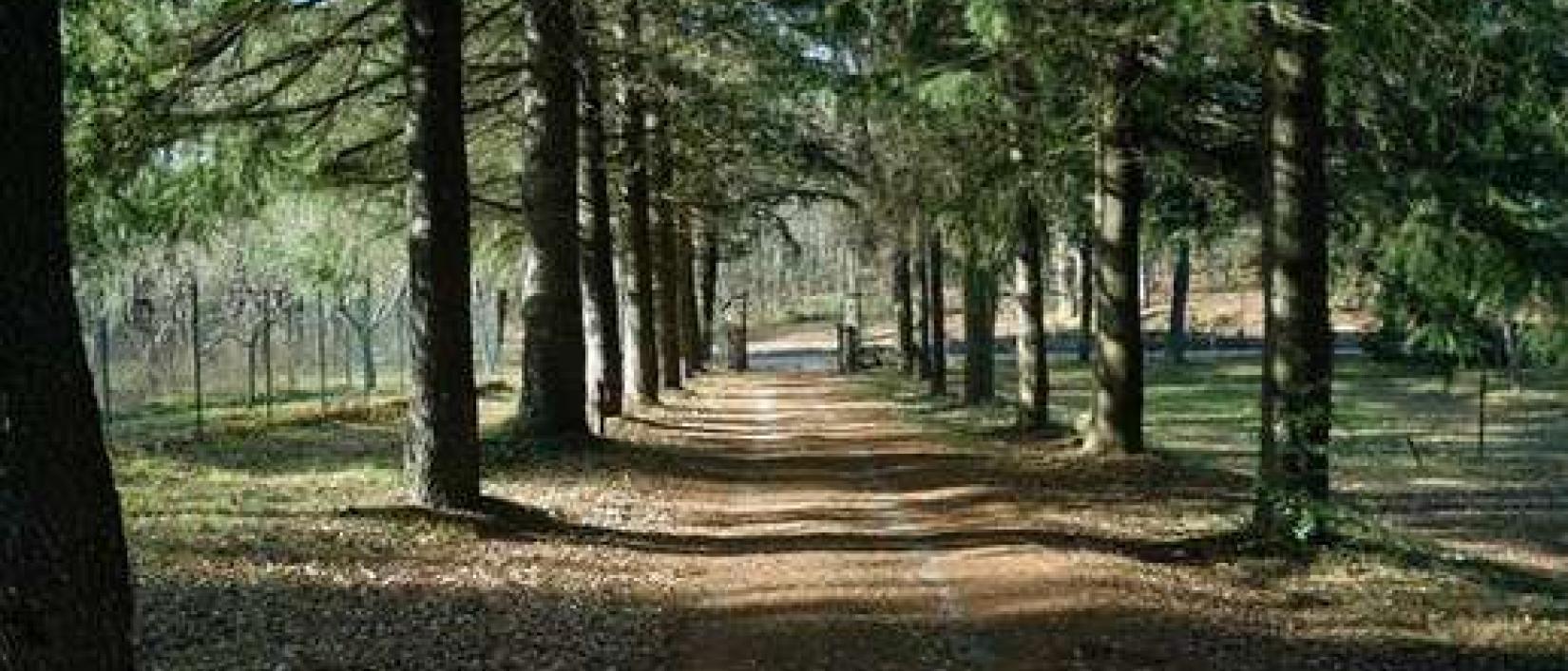 Hoofdfoto Camping Agrituristico Le Fontanelle