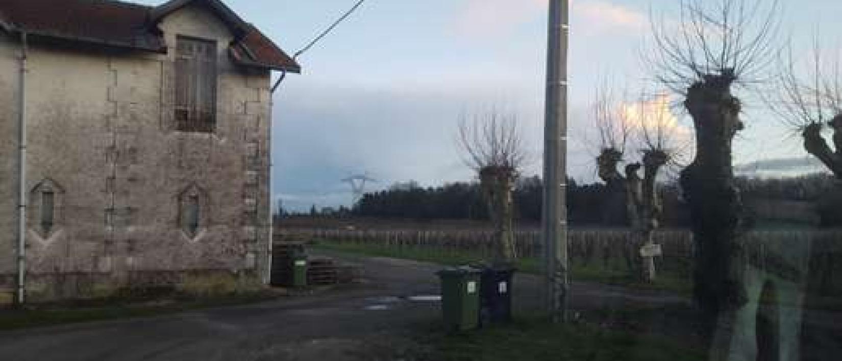 Hoofdfoto Vignobles Pestoury Yvrac