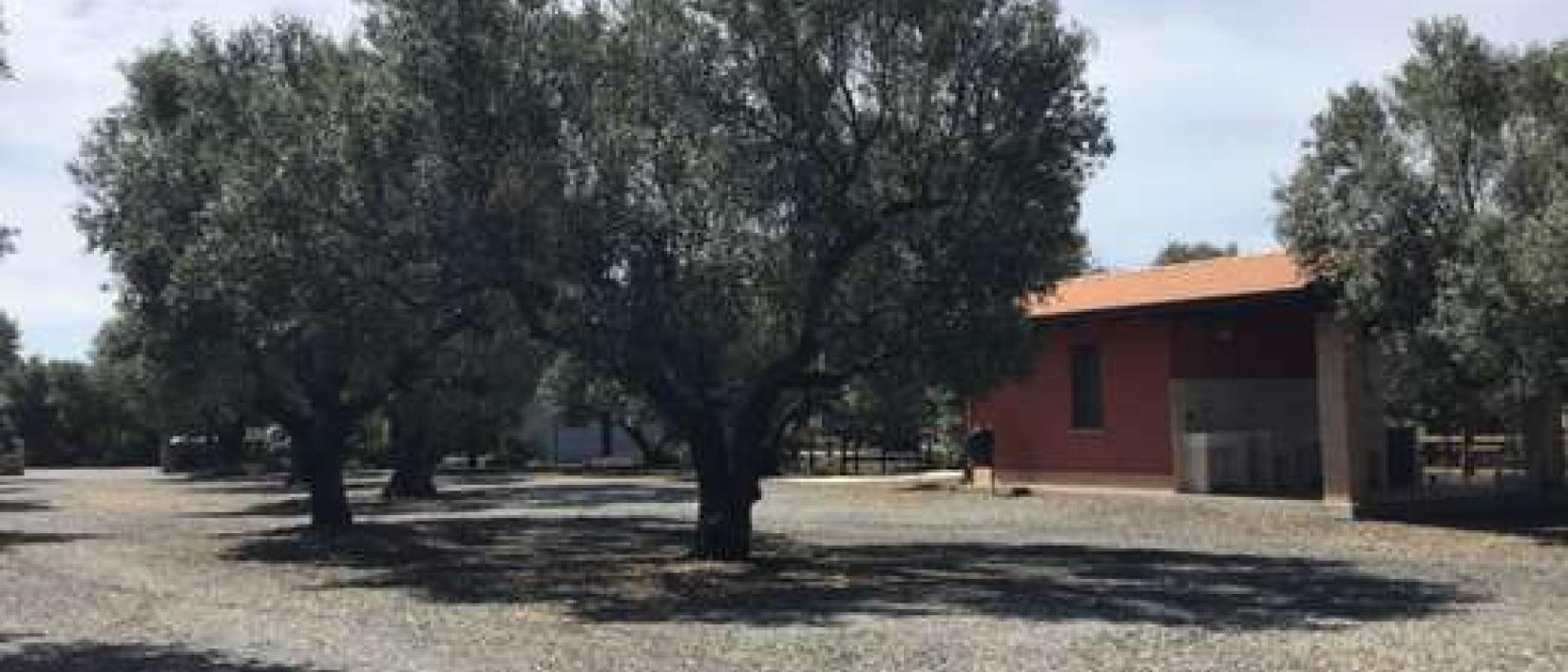 Hoofdfoto Agriturismo Feudo Delle Querce