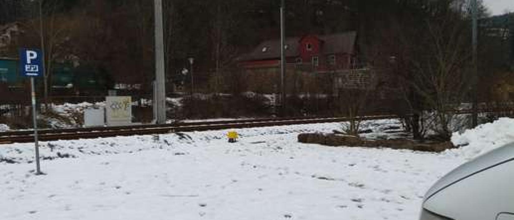 Hoofdfoto Stellplatz Bahnhofstr. Alpirsbach