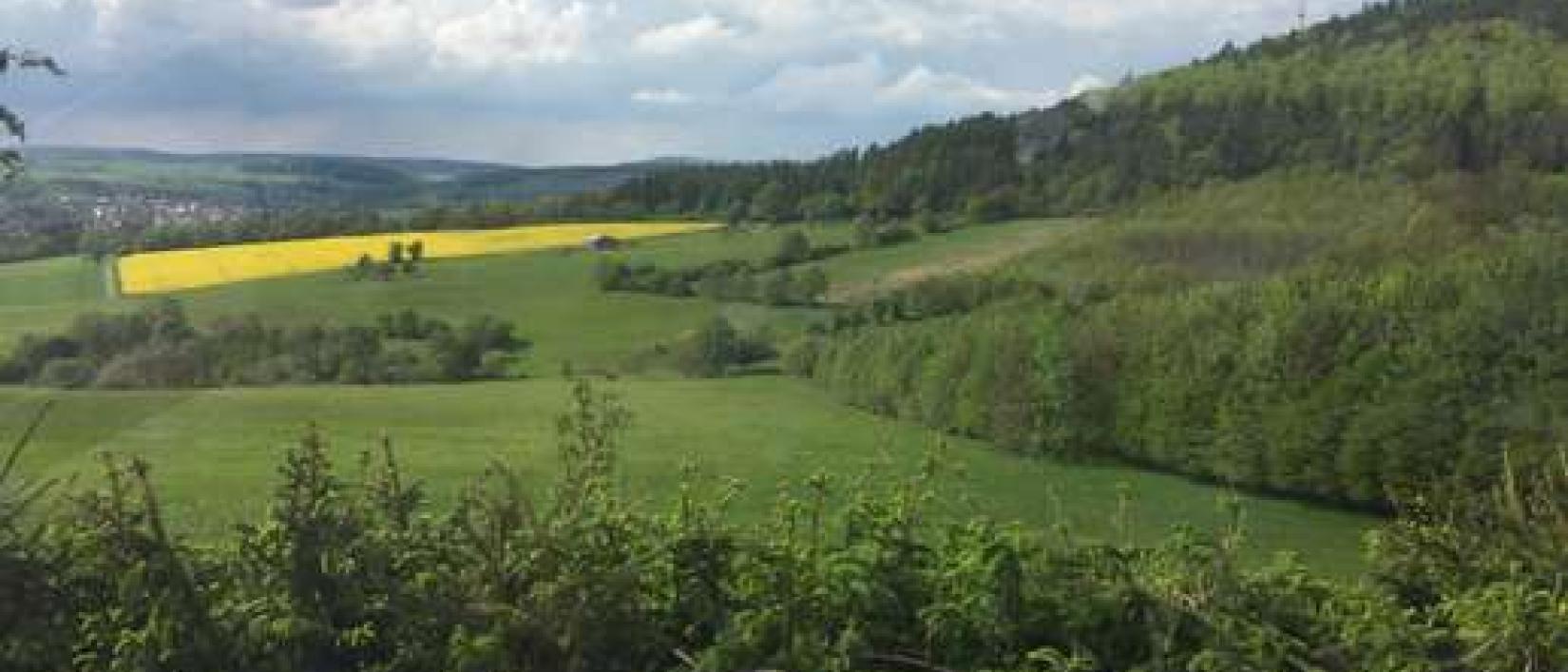 Hoofdfoto Wirtshaus Hof Schabernack