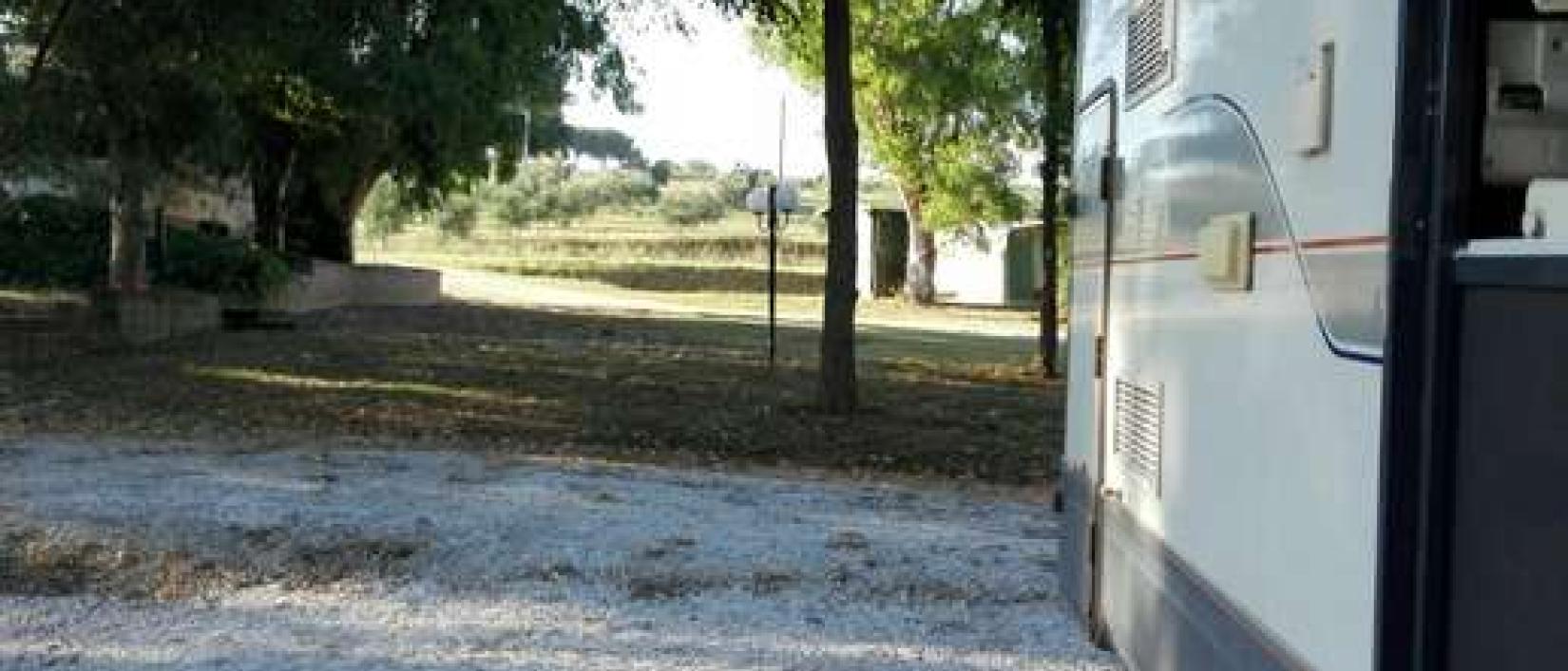 Hoofdfoto Agricampeggio La Piaggia