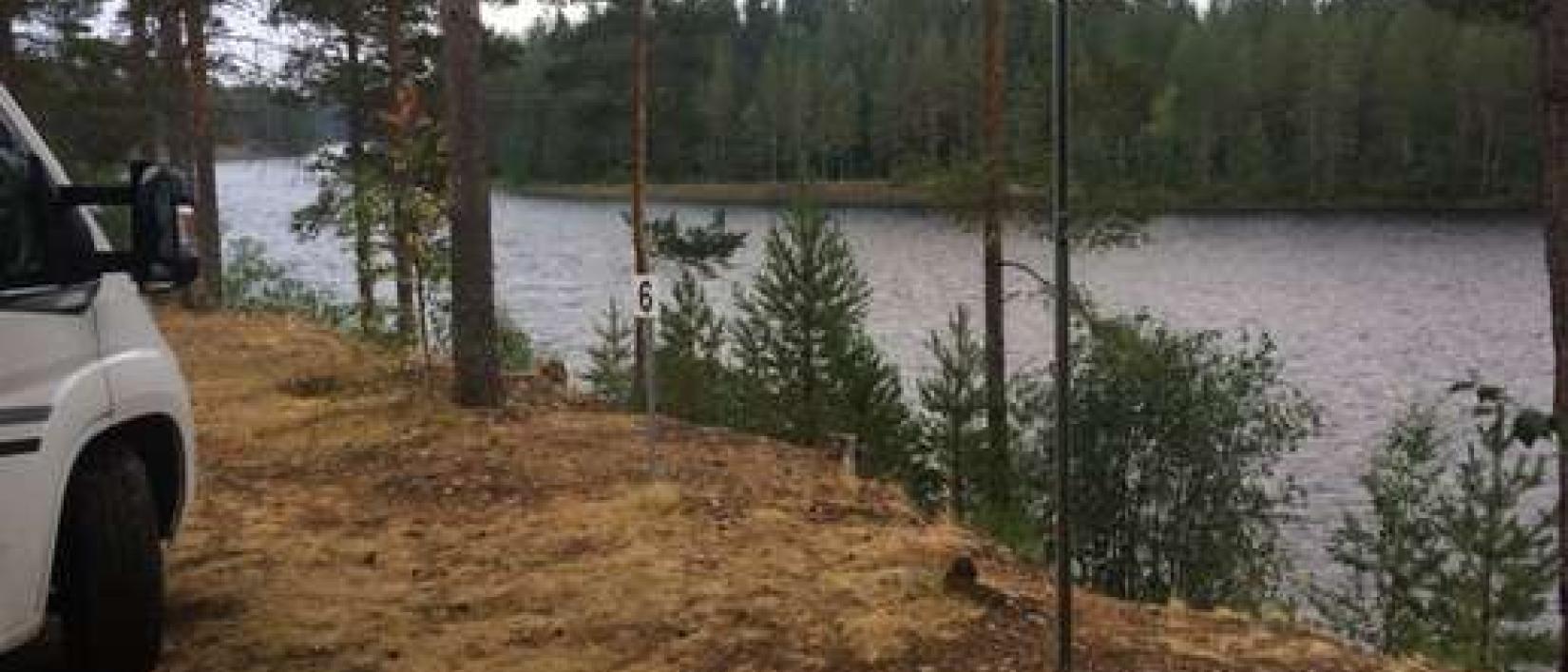 Hoofdfoto Viltcamping