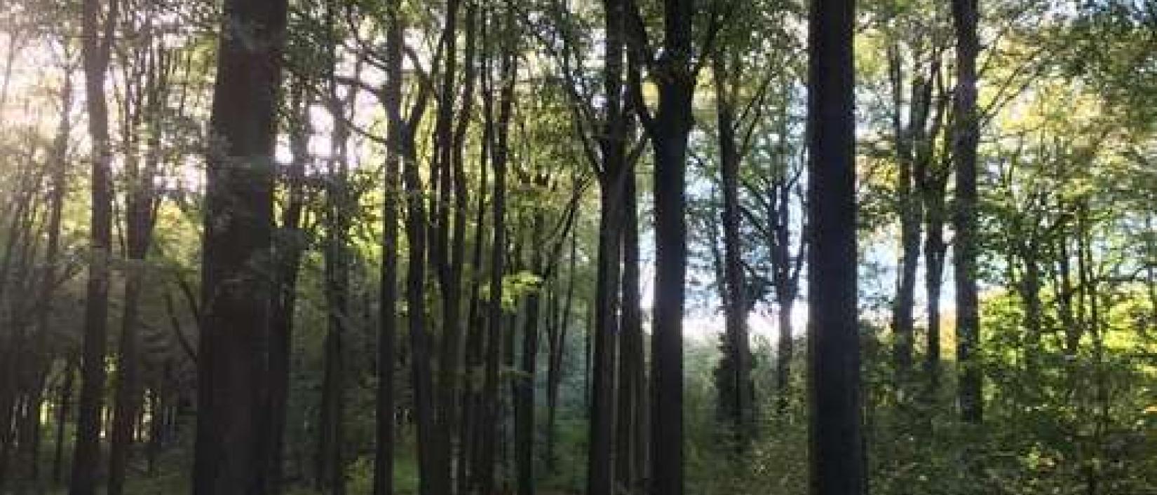 Hoofdfoto Site Naturel du Moron