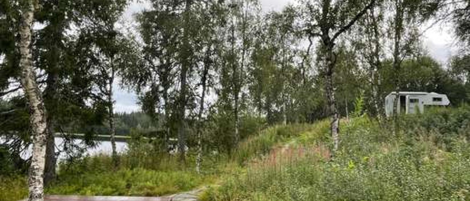 Hoofdfoto Koltjønna