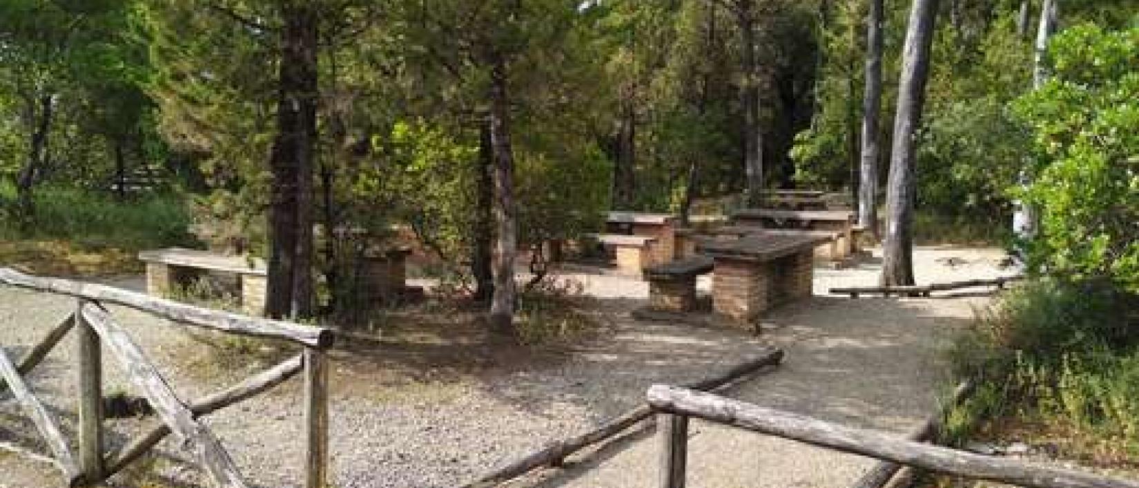 Hoofdfoto Bosco di Sant'Agnese