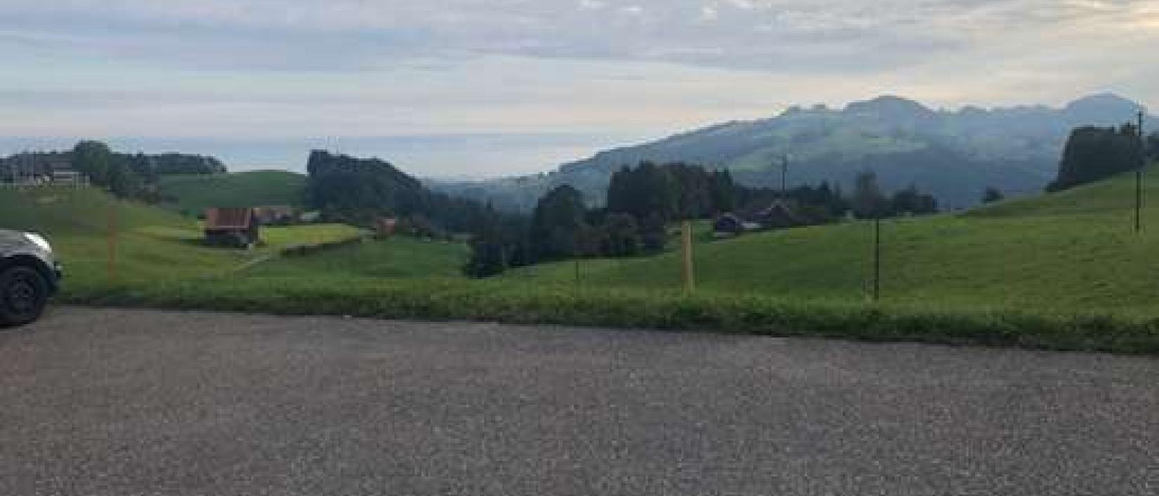 Hoofdfoto Restaurant Schwarzer Bären