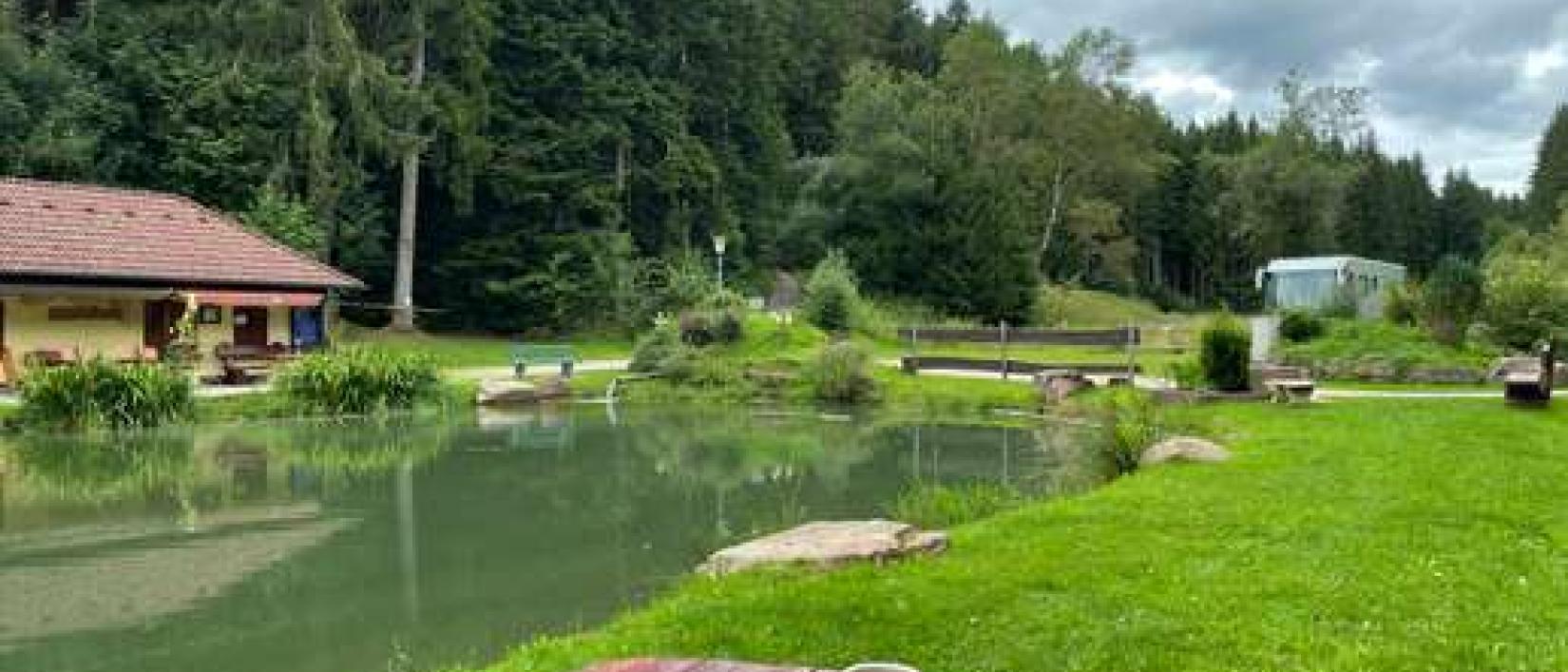 Hoofdfoto Stellplatz am Harzhütten Weiher