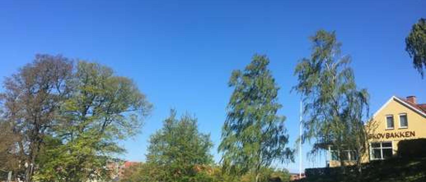 Hoofdfoto Iskælderdalen