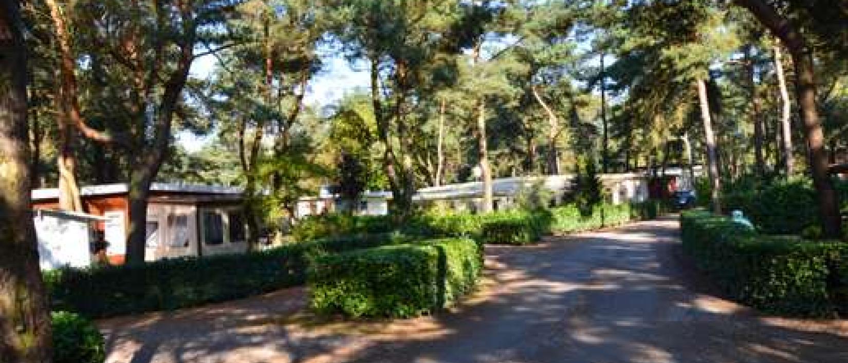 Hoofdfoto Camping G.T. Keiheuvel