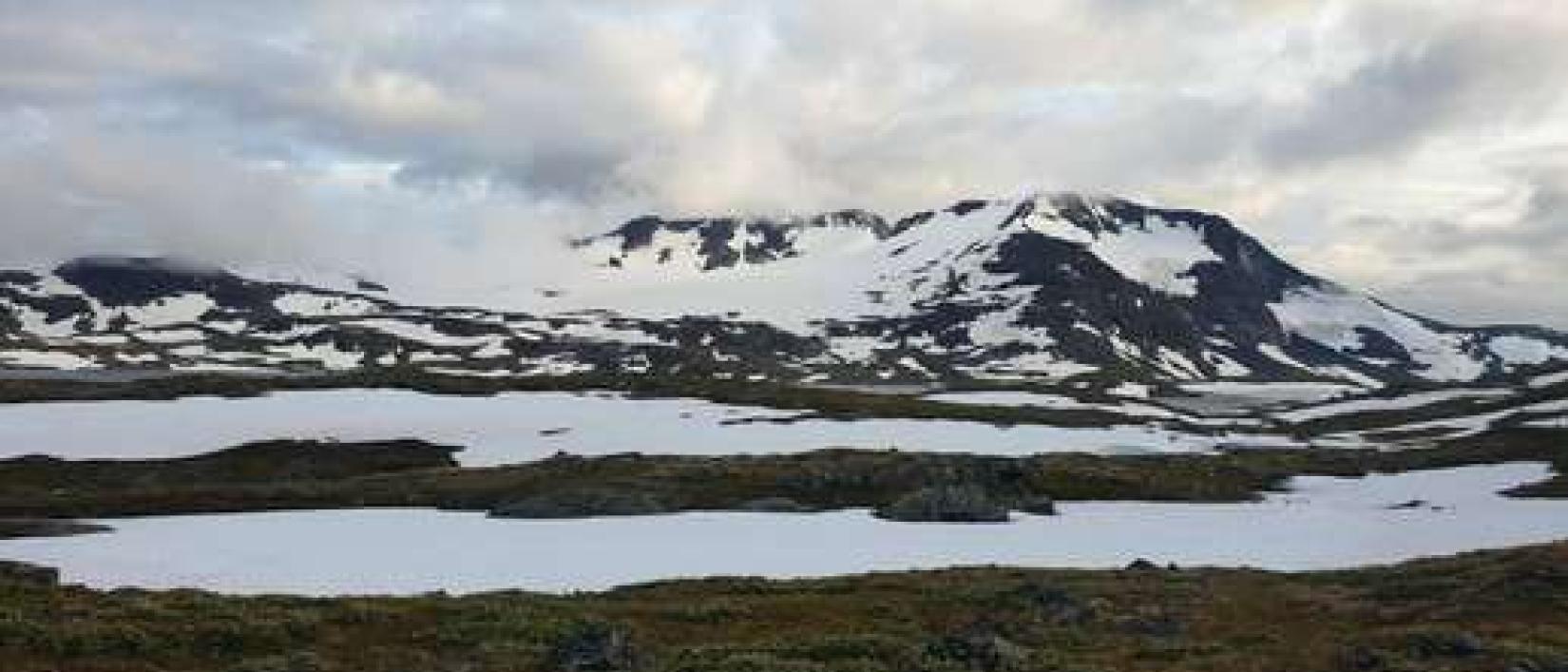 Hoofdfoto Mefjell Rasteplass