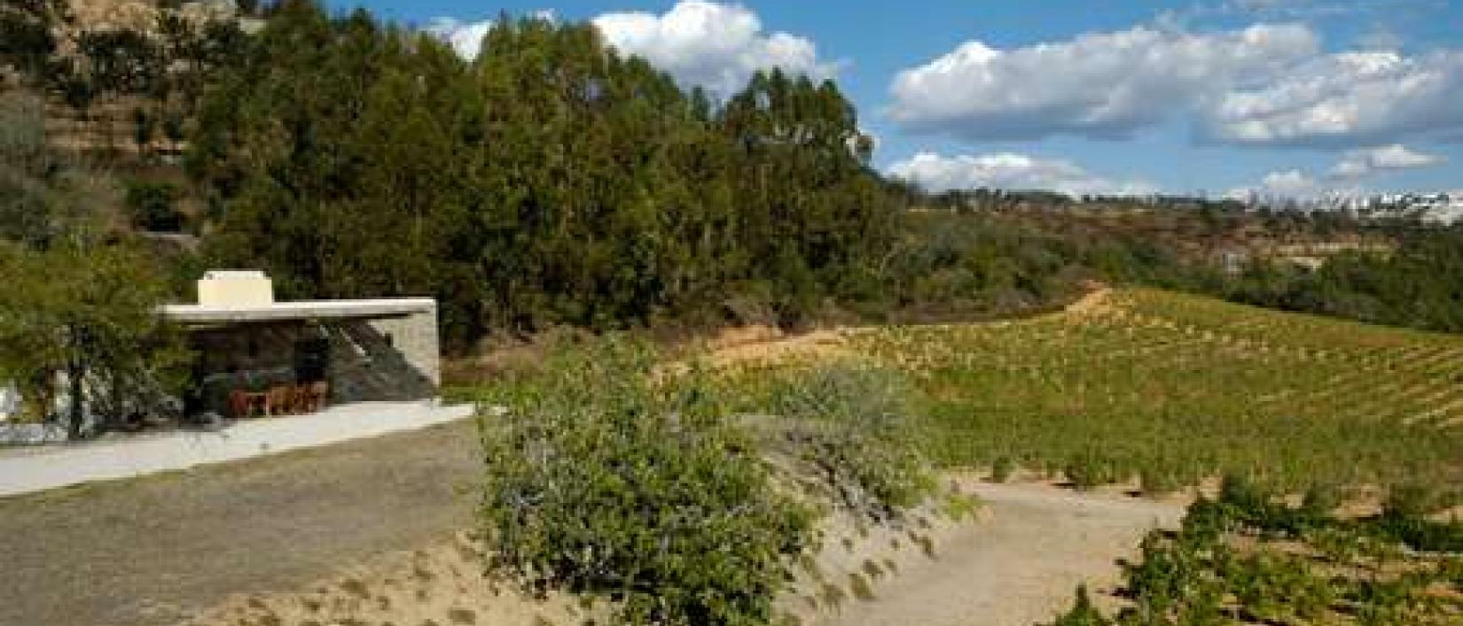 Hoofdfoto Winery Monte da Penha