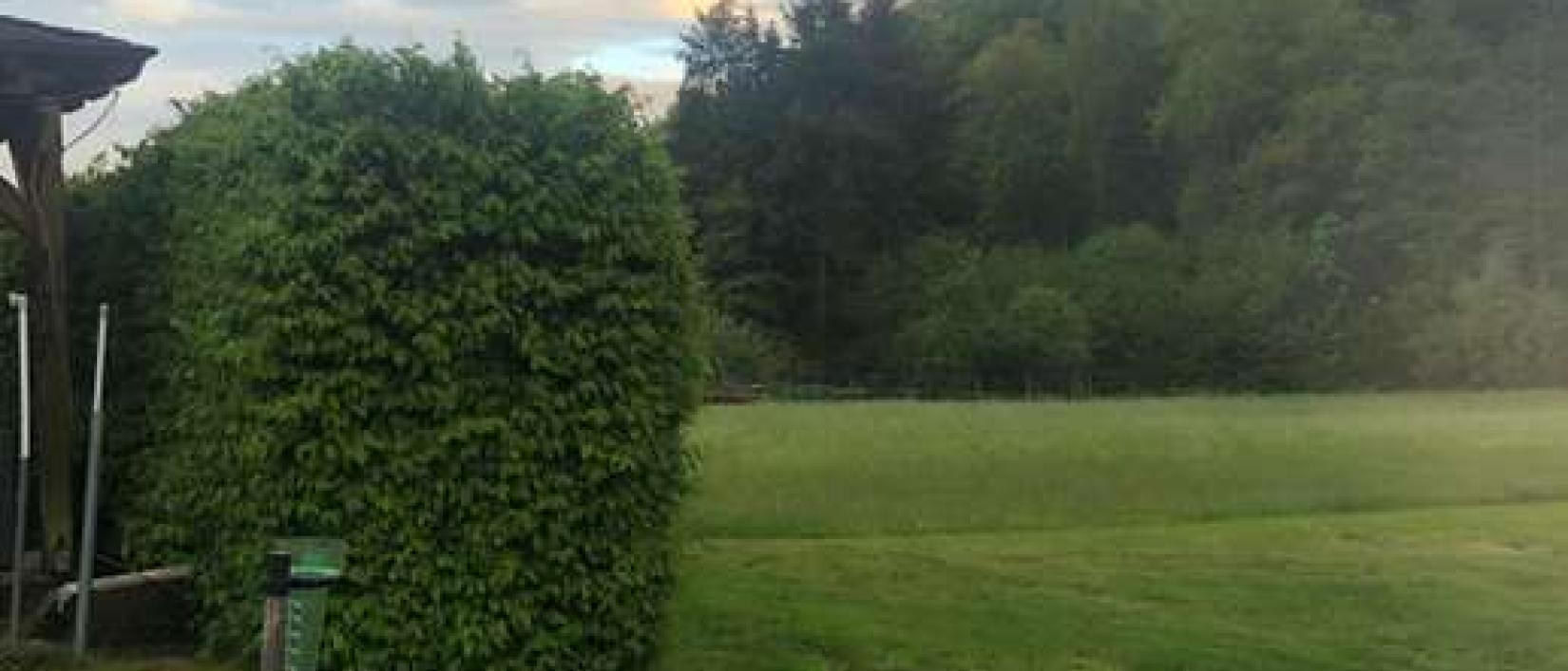 Hoofdfoto Weingut Weber