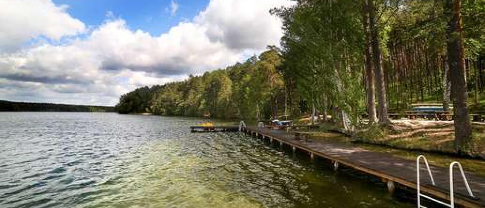 Hoofdfoto Campervan Park Wiatraki