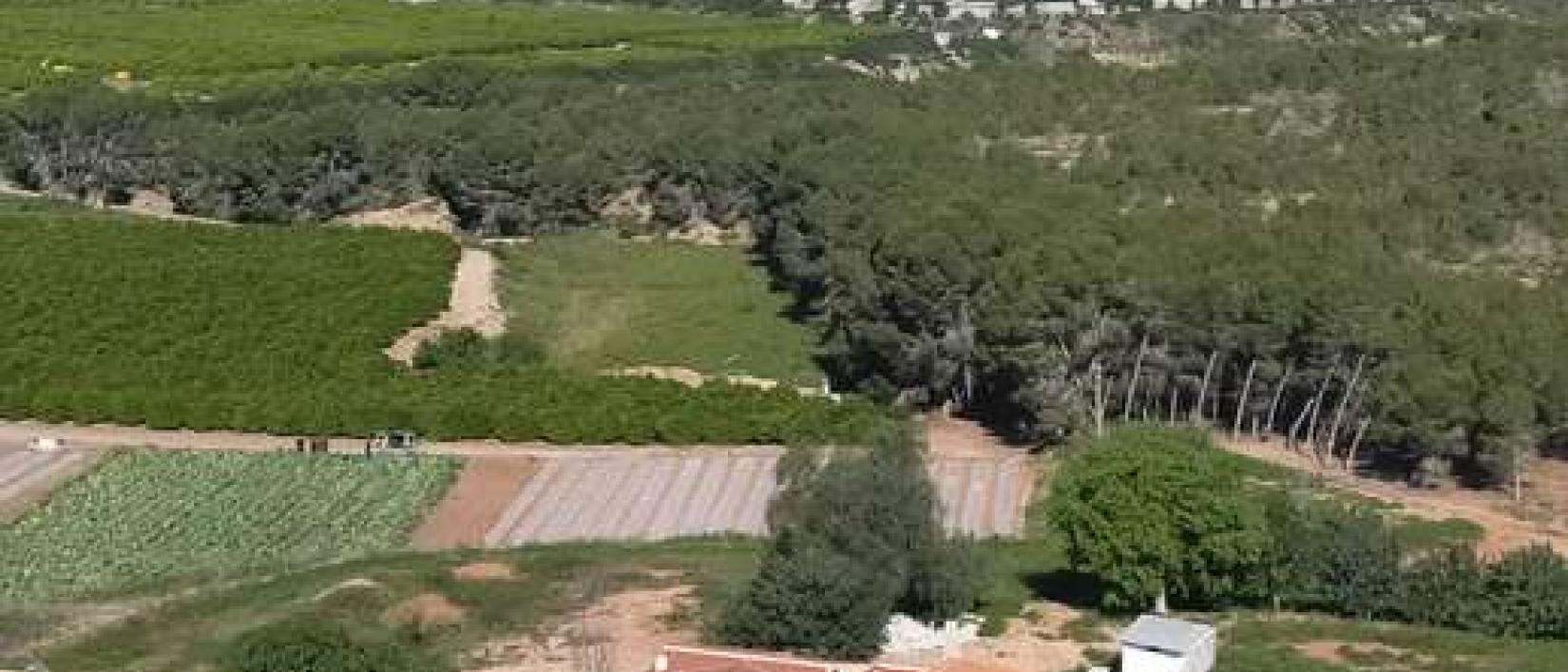 Hoofdfoto Granja la Carmela