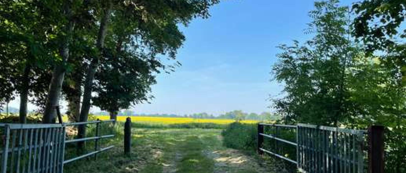 Hoofdfoto Crohnshof Südlage