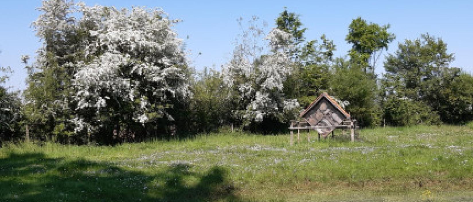 Opwijk