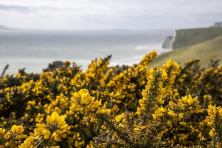 Jurassic Coast