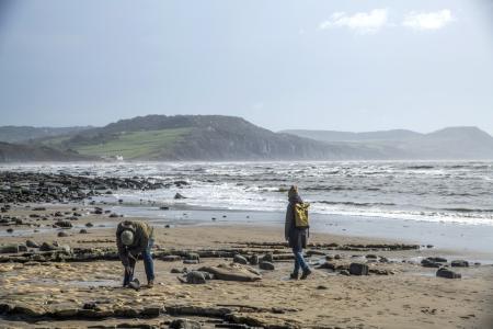 Jurassic Coast