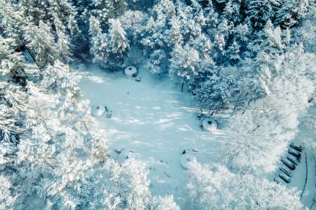 winterwoods