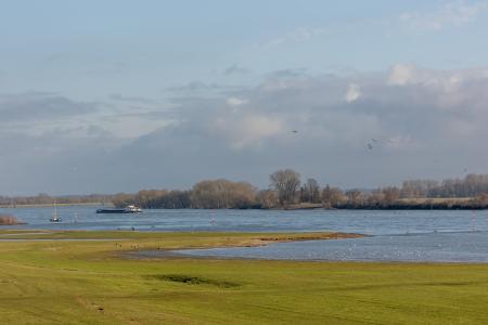 wereldoorlog