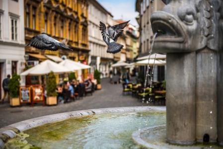 ljubljana