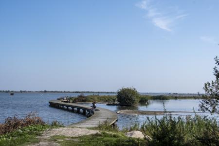 marker wadden
