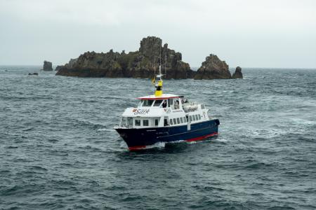 sark