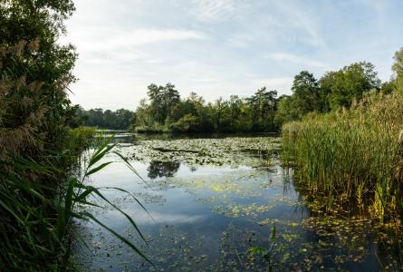Weert