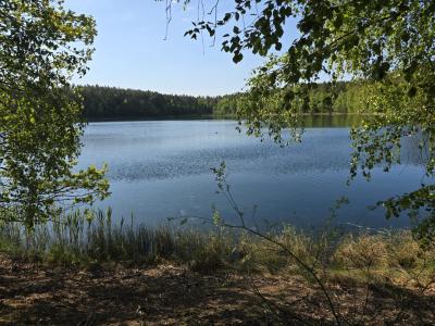 Polen