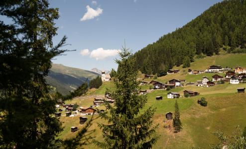 davos