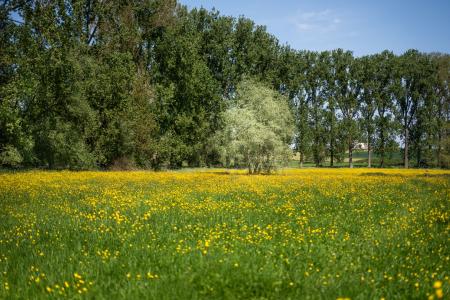 wandelen dendervallei Zuid