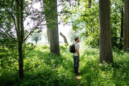 wandelen dendervallei Zuid