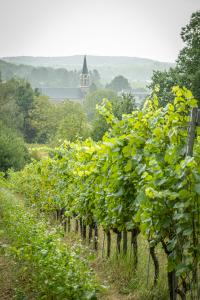 Weekend blinden en slechtzienden