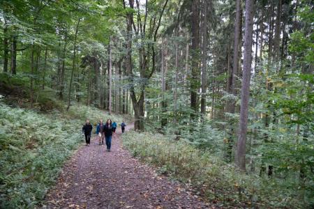 wandelen in Sokolowsko