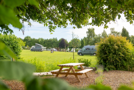Camping Druivenland