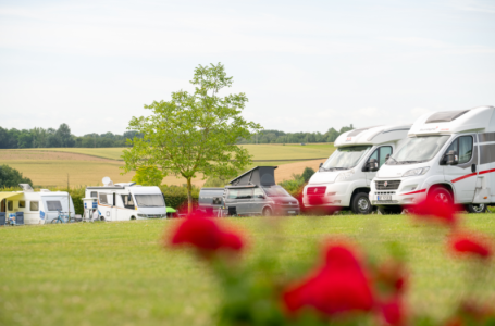 Camping Druivenland